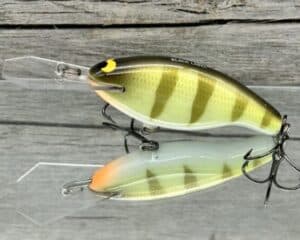 Black Label Balsa - Tapout - Custom Balsa Crankbait - Faded Perch Color