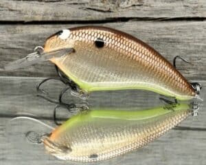 Black Label Balsa - Razor Signature Series - Balsa Crankbait - Foiled Dirty Shad Color