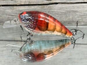 Black Label Balsa - BL 1.5 - Signature Series - Cheyenne's Craw Color