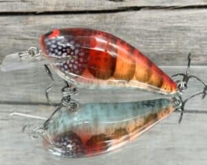Black Label Balsa - BL 1.5 - Signature Series - Cheyenne's Craw Color