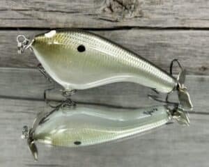 Black Label Balsa - Tease Signature Series - Custom Balsa Topwater Prop - Foiled Money Shad Color
