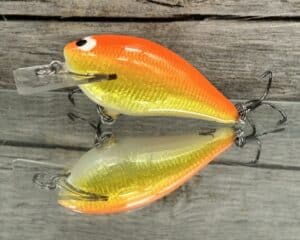 Black Label Balsa - BL 1.5 - Signature Series - Goldfish Color - RC 1.5