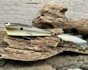 Black Label Balsa - Pop-N-Bob - Custom Balsa Popper - Bone Shiner Color