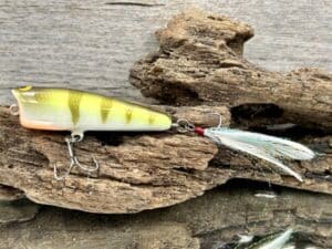Black Label Balsa - Pop-N-Bob - Custom Balsa Popper - Faded Perch Color