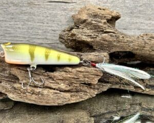 Black Label Balsa - Pop-N-Bob - Custom Balsa Popper - Faded Perch Color