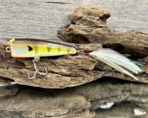 Black Label Balsa - Pop-N-Bob - Custom Balsa Popper - Bold Bluegill Color