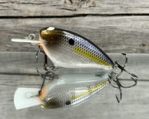 Black Label Balsa - Bacon-Signature Series - Balsa Crankbait - Foiled Threadfin Shad Color