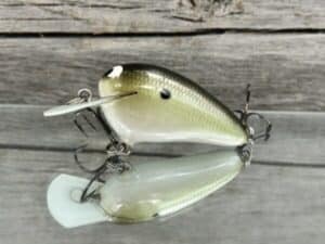 Black Label Balsa - Peanut - Balsa Crankbait - Money Shad Color - Zoom WEC Mutt