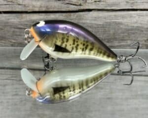 Black Label Balsa - BL 1.5 SSR - Balsa - Money Gill Color