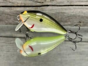 Black Label Balsa - BL 1.5 SSR - Balsa - Plemmons Color