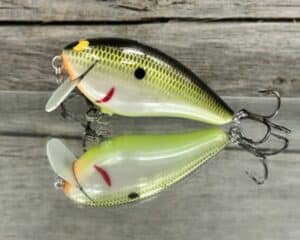 Black Label Balsa - BL 1.5 SSR - Balsa - Plemmons Color