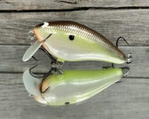 Black Label Balsa - BL 1.5 SSR - Balsa - Slick Color