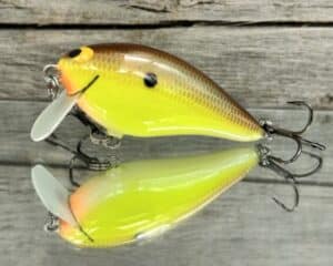 Black Label Balsa - BL 1.5 SSR - Balsa - River Bream Color