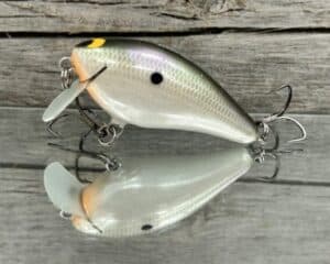 Black Label Balsa - BL 1.5 SSR - Balsa - Gizzard Shad Pearl Color