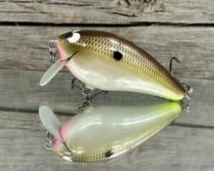 Black Label Balsa - BL 1.5 SSR - Balsa - Cliff's Secret Color