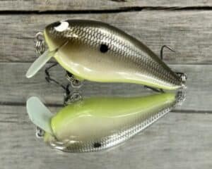 Black Label Balsa - BL 1.5 SSR - Balsa - Bone Shiner Color
