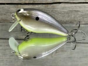 Black Label Balsa - BL 1.5 SSR - Balsa - American Shad Chartreuse Belly Color