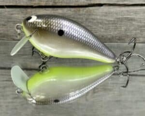 Black Label Balsa - BL 1.5 SSR - Balsa - American Shad Chartreuse Belly Color