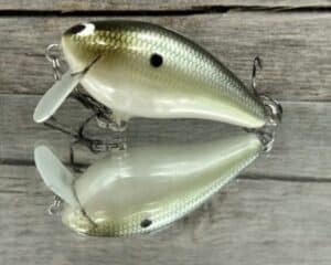 Black Label Balsa - BL 1.5 SSR - Balsa - Money Shad Color