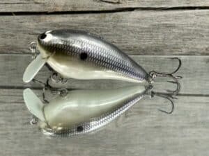Black Label Balsa - BL 1.5 SSR - Balsa - American Shad Color