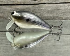 Black Label Balsa - BL 1.5 SSR - Balsa - American Shad Color