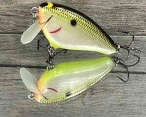 Black Label Balsa - Bacon SSR - Balsa Crankbait - Plemmons Color