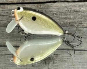 Black Label Balsa - Bacon SSR - Balsa Crankbait - Smash Color