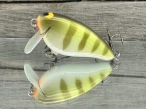 Black Label Balsa - Bacon SSR - Balsa Crankbait - Faded Perch Color