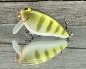 Black Label Balsa - Bacon SSR - Balsa Crankbait - Faded Perch Color