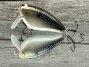 Black Label Balsa - Bacon SSR - Balsa Crankbait - Bad Shad Color
