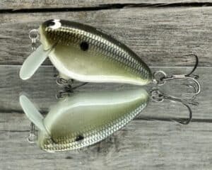 Black Label Balsa - Bacon SSR - Balsa Crankbait - Money Shad Color
