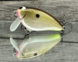 Black Label Balsa - Bacon SSR - Balsa Crankbait - Cliff's Secret Color