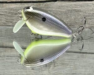 Black Label Balsa - Bacon SSR - Balsa Crankbait - American Shad Chartreuse Belly Color