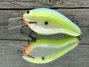 Black Label Balsa - Bully - Custom Balsa Squarebill Crankbait - Citrus Candy Color