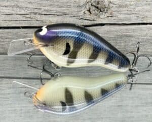 Black Label Balsa - Bully - Custom Balsa Squarebill Crankbait - Bone Gill Color