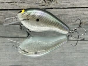 Black Label Balsa - Bully - Custom Balsa Squarebill Crankbait - Gizzard Shad Foil Color