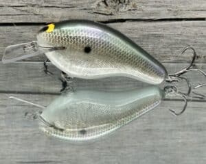 Black Label Balsa - Bully - Custom Balsa Squarebill Crankbait - Gizzard Shad Foil Color