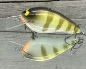 Black Label Balsa - Bully - Custom Balsa Squarebill Crankbait - Faded Perch Color