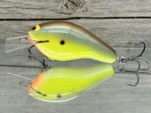 Black Label Balsa - Bully - Custom Balsa Squarebill Crankbait - River Bream Color
