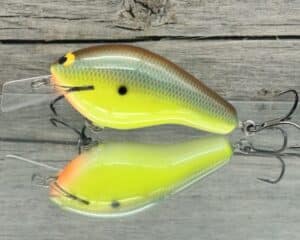 Black Label Balsa - Bully - Custom Balsa Squarebill Crankbait - River Bream Color