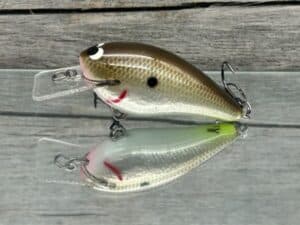 Black Label Balsa - BL 1.5 - Signature Series - Foiled Cliff's Secret Color - RC 1.5