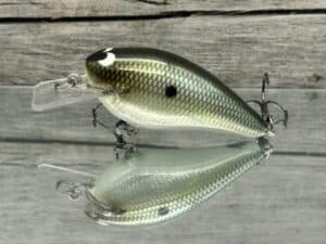 Black Label Balsa - BL 1.5 - Signature Series - Foiled Money Shad Color - RC 1.5