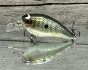 Black Label Balsa - BL 1.5 - Signature Series - Foiled Money Shad Color - RC 1.5