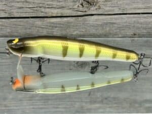 Black Label Balsa - Heads Up - Custom Balsa Wake Bait - Faded Perch Color