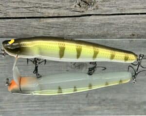 Black Label Balsa - Heads Up - Custom Balsa Wake Bait - Faded Perch Color