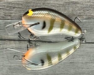 Black Label Balsa - Prowler - Signature Series Custom Balsa Squarebill Crankbait - Foiled Silver Gill Color