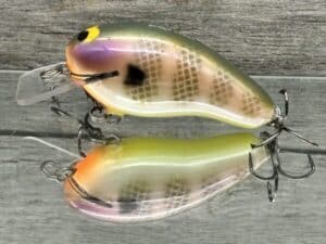 Black Label Balsa - Prowler - Custom Balsa Squarebill Crankbait - Bluegill Color