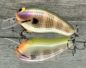 Black Label Balsa - Prowler - Custom Balsa Squarebill Crankbait - Bluegill Color