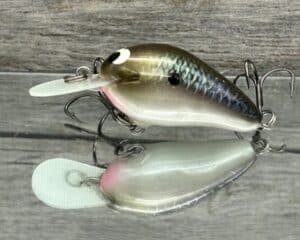 Black Label Balsa - Fat Little Cliffie - Custom Balsa Crankbait - Bad Shad Color