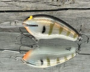 Black Label Balsa - Prowler MR Signature Series - Custom Balsa Crankbait - Foiled Silver Gill Color